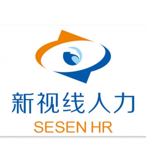 海南新視線人力集團(tuán)有限公司