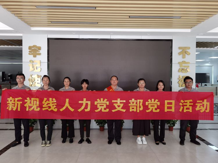新視線人力黨支部開展“聯(lián)建共建聚合力、齊心助力自貿(mào)港”主題黨