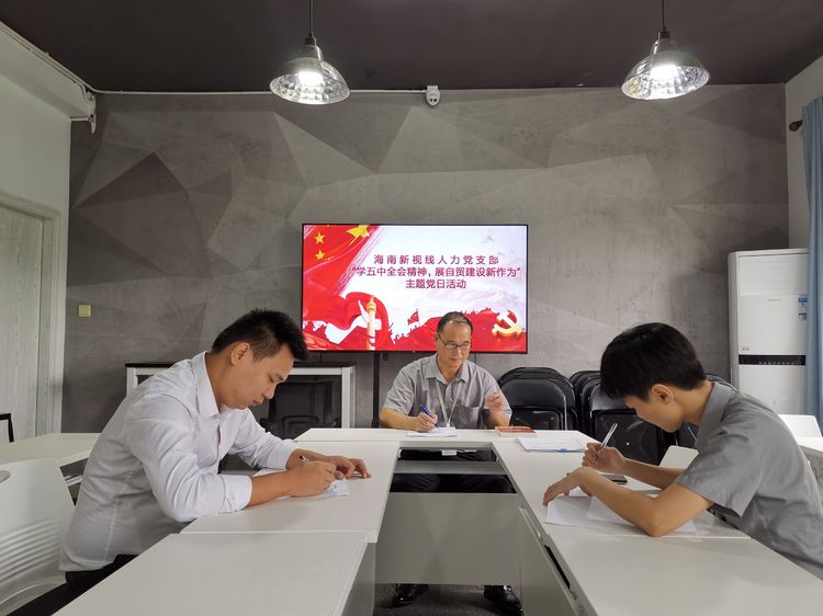 海南新視線人力黨支部開展“學五中全會精神，展自貿(mào)建設(shè)新作為”
